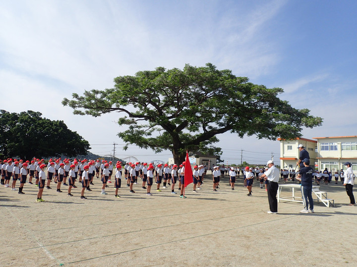 指宿市立山川小学校 : 運動会全体練習スタート