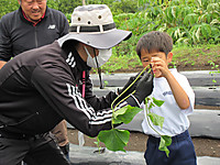 Img_0518