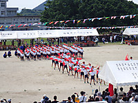 P5251371
