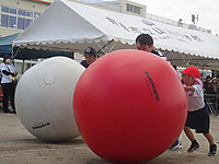P5251463