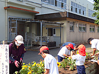 P7091241