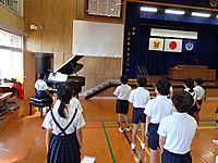 P9011234