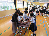 Img_2232 Img_2232