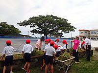 P5110011 P5110011