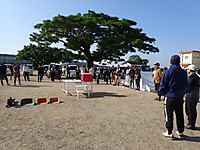 P5170010 P5170010