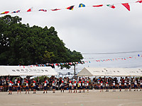 P5240244