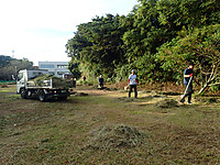 P8160032 P8160032