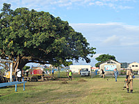 P8160034 P8160034