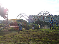 P8160037 P8160037