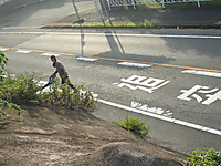 P8160038 P8160038