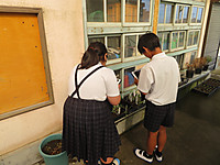 Img_3107 Img_3107