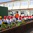 P7091231