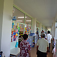 P5290006